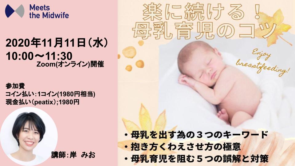 11/11【楽に続ける！母乳育児のコツ＋育児相談会】参加チケット